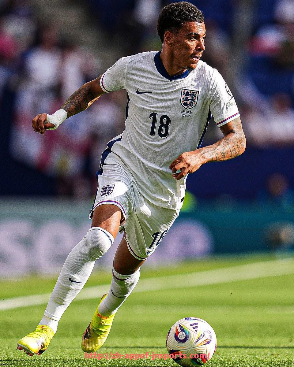 江南体育APP-哪个平台直播西甲联赛并提供多语种解说